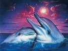 delfin5.jpg